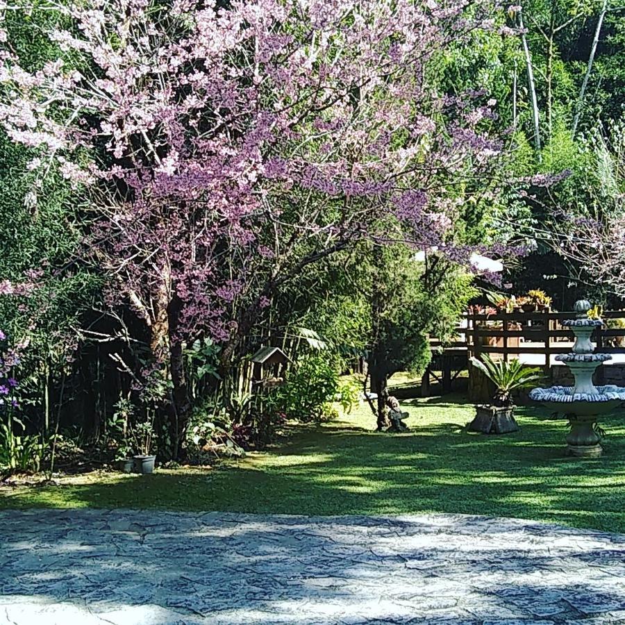 招待所 Havila Arara Azul Nova Friburgo