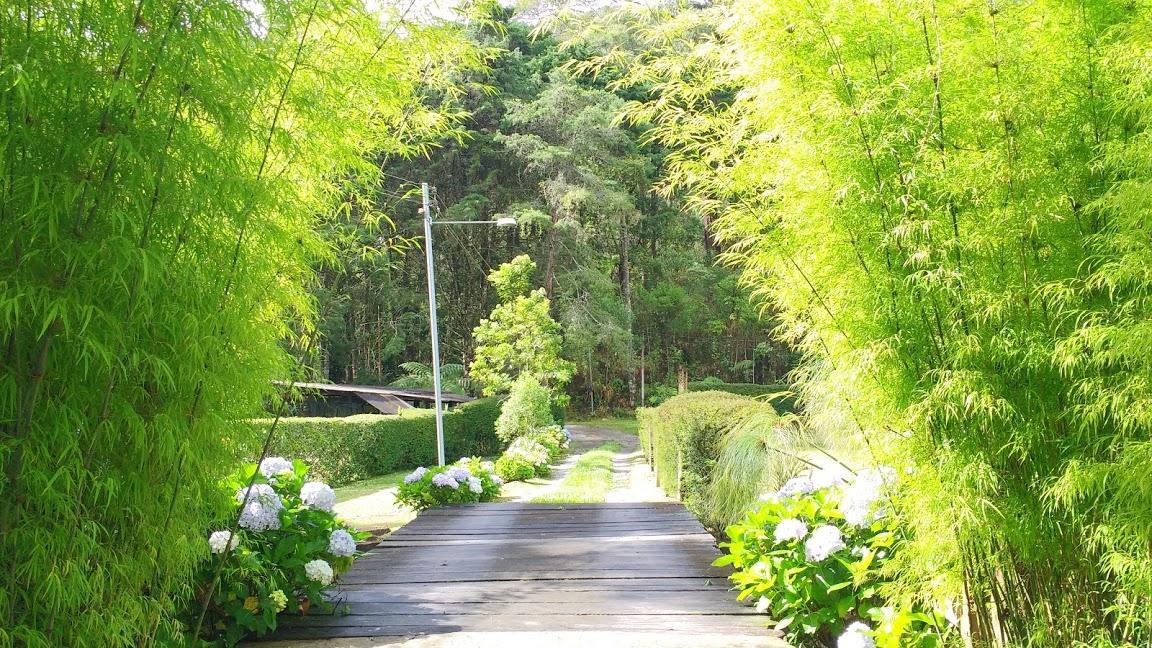 Havila Arara Azul Pensión