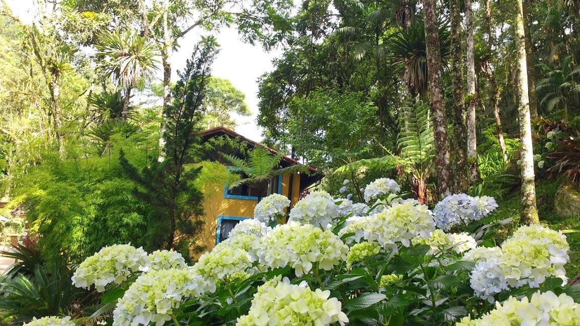 Havila Arara Azul Pensión